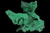 Silky Fibrous Malachite Cluster - Congo #81754-2